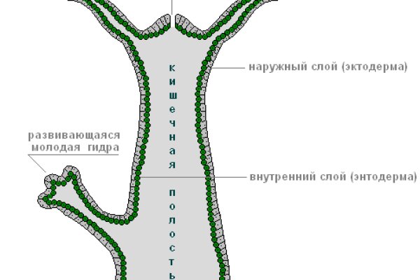 Кракен онион kraken014 com