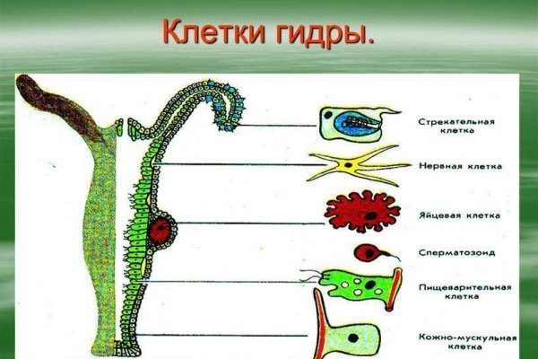 Кракен маркет даркнет только через