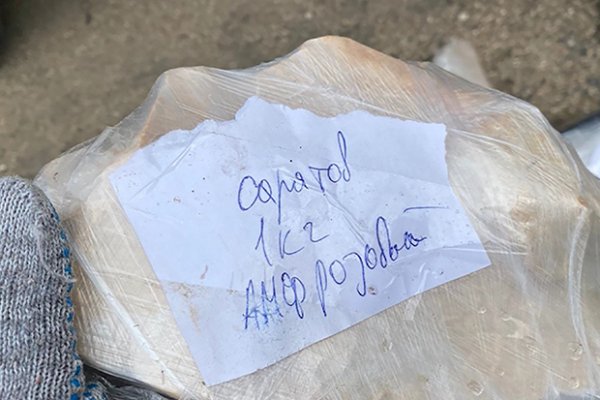 Сайты типа гидры