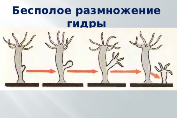 Как пополнить кошелек кракена