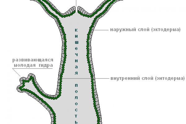 Кракен стор